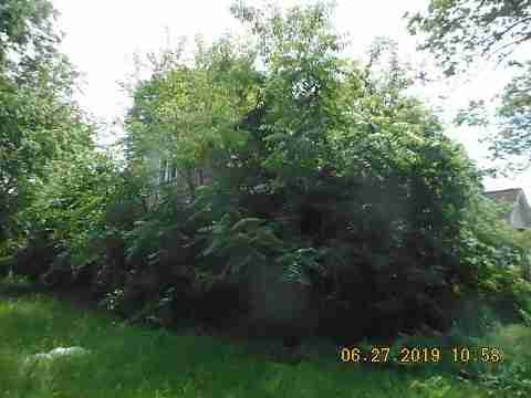 4696 Dickerson (3)_m.jpg